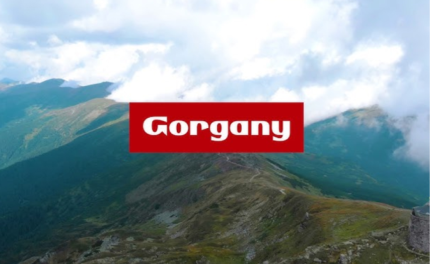 Автоматизація мережі магазинів “Gorgany”